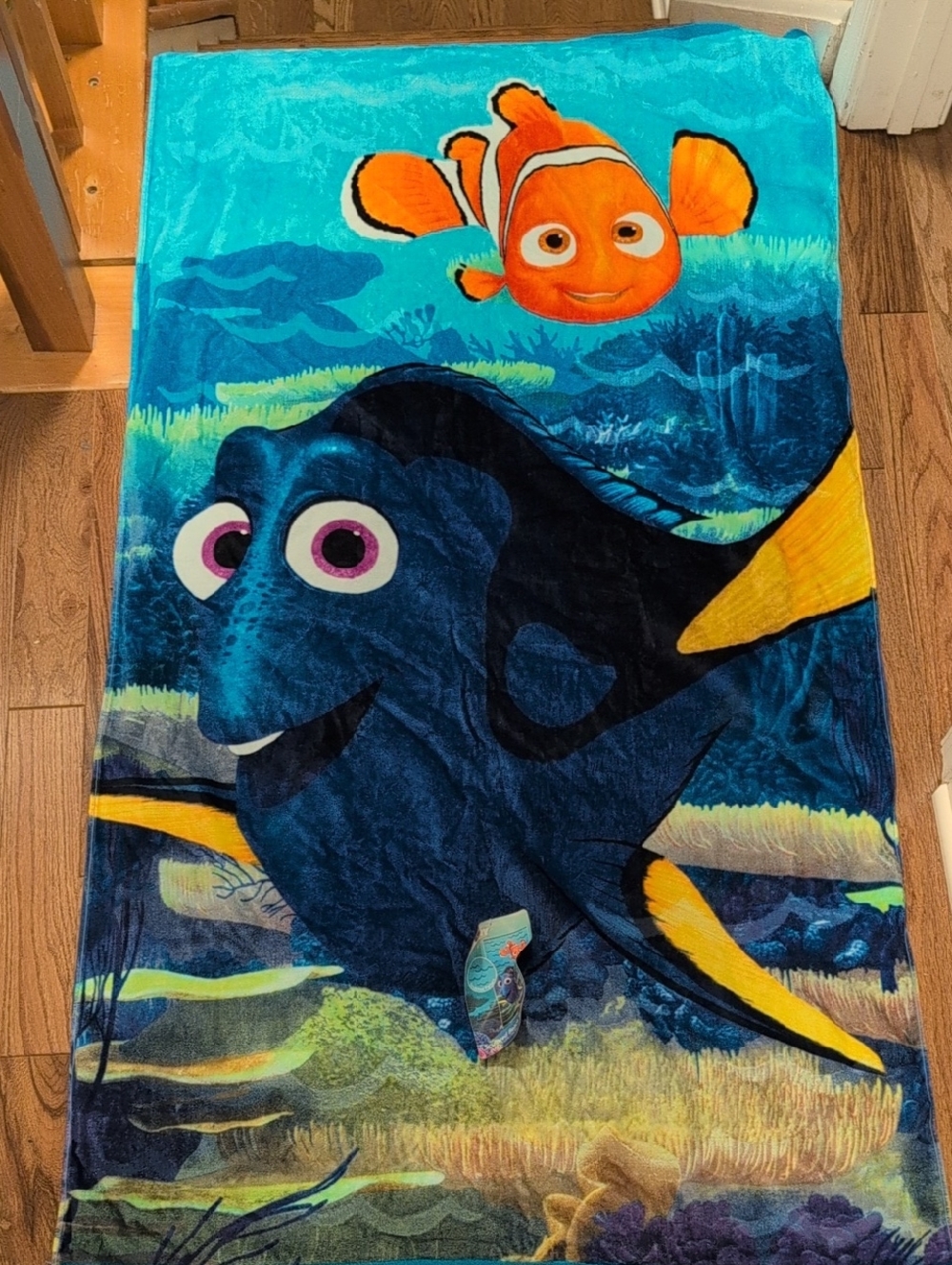 Disney Finding Dory Towel